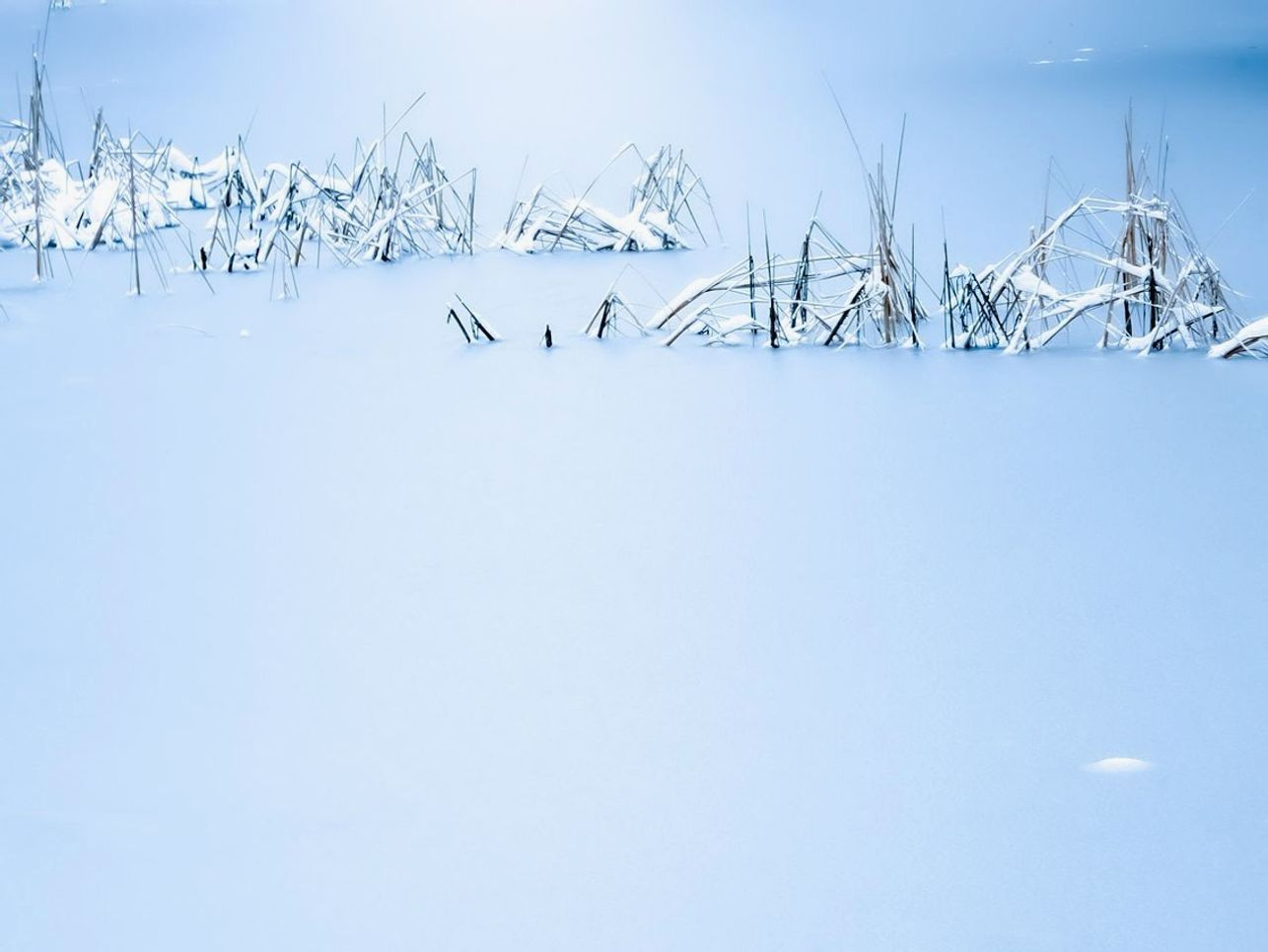 El mismo sendero angosto sobre el lago en cuatro estaciones de hielo