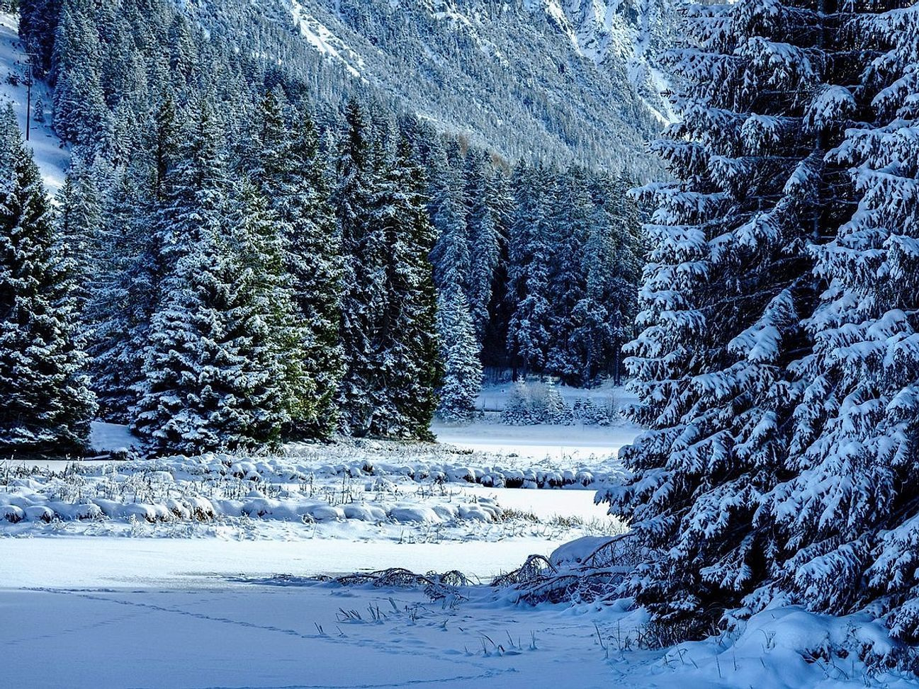 Un arroyo poco profundo corriendo bajo el hielo con piedras pálidas visibles